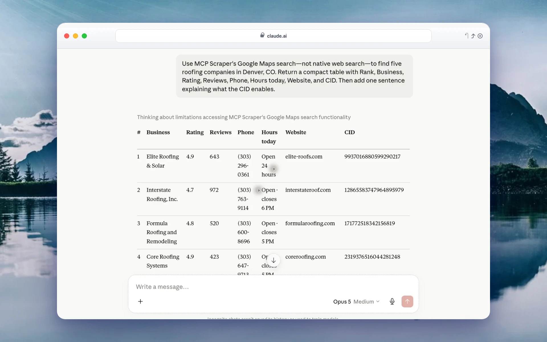 Closer view of actual Maps fields including rating, reviews, phone, hours, website, and Google CID